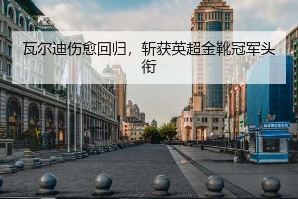 瓦尔迪伤愈回归，斩获英超金靴冠军头衔